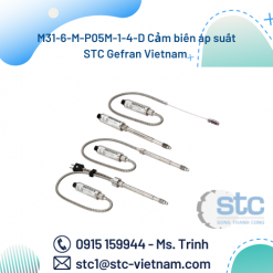 M31-6-M-P05M-1-4-D Cảm biến áp suất STC Gefran Vietnam