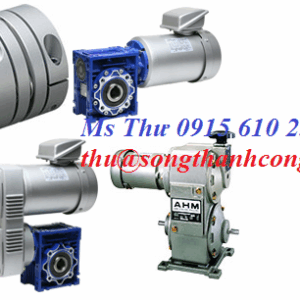 Alternative view of Động cơ RWM-009-30 Miki Pulley Vietnam_STC Vietnam