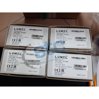 P30U -101100E1 - Bộ chuyển đổi - Lumel Vietnam 3