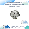 DS1102VDYYBKYY00D0544 Đồng hồ áp suất STC Fischer Vietnam