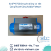 82SR4575 Bộ truyền động khí nén Song Thành Công Valbia Vietnam