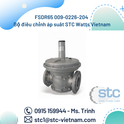 FSDR65 009-0226-204 Bộ điều chỉnh áp suất STC Watts Vietnam