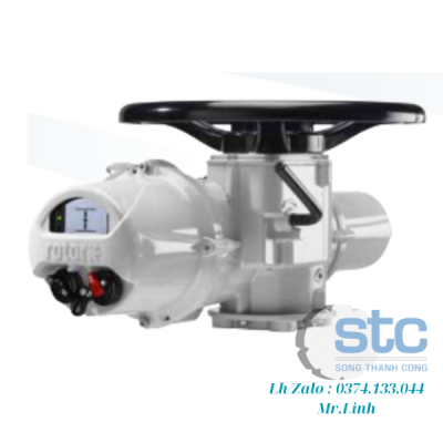 Bộ truyền động điện IQT125 F10