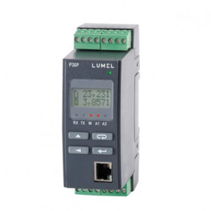Bộ chuyển đổi mạng điện 1 pha qua Ethernet P30P Lumel 
