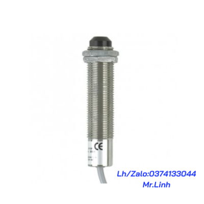 Cảm biến nhiệt độ hồng ngoại RAYCI1B Raytek