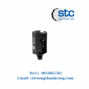 10131281 Baumer Vietnam