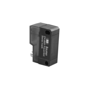 11001138 Baumer Vietnam