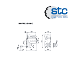 MGFAS2-DSM SEW Vietnam